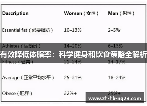 有效降低体脂率：科学健身和饮食策略全解析