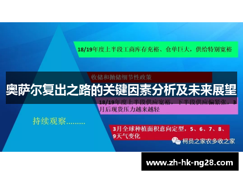 奥萨尔复出之路的关键因素分析及未来展望