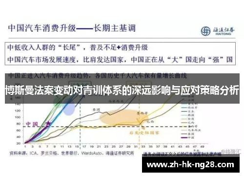 博斯曼法案变动对青训体系的深远影响与应对策略分析