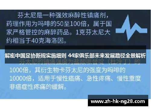 解密中国足协新规实施细则 44家俱乐部未来发展路径全景解析