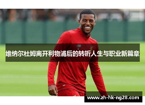 维纳尔杜姆离开利物浦后的转折人生与职业新篇章